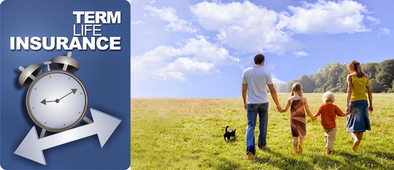 Pet Insurance